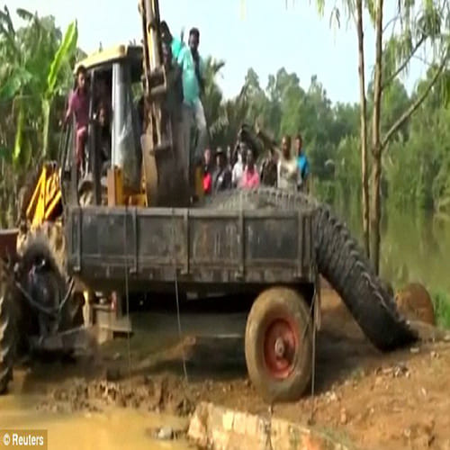 Giant crocodile is rescued after getting stuck