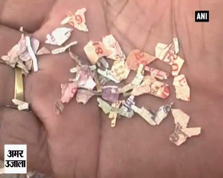 बरेली में अधजले नोट बरामद 