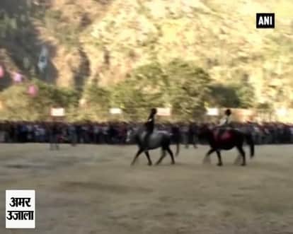 Chaumurti breed attracts crowds at Himachal horse exhibition