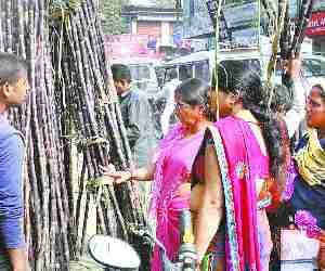 Ekadashi celebrated