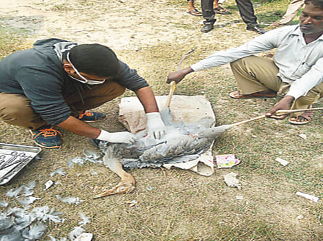 Crane was found dead in the Gdrianpurwa Bilgram