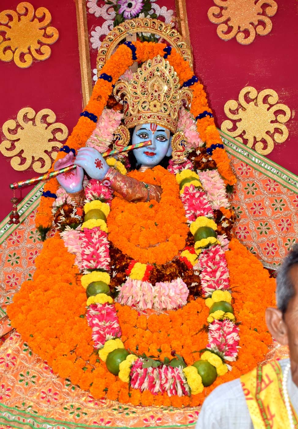 khatu naresh shobhayatra