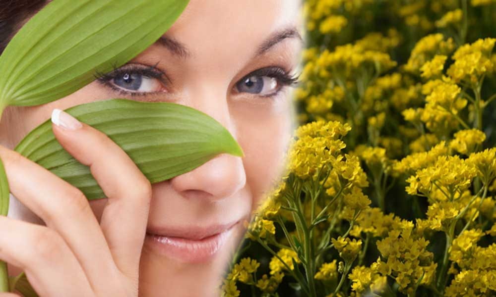 Health Benefits Of Mustard Seed