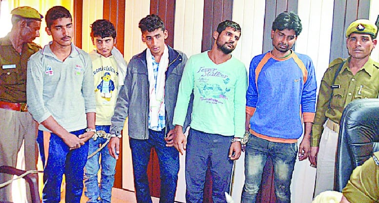 Vehicle thief caught