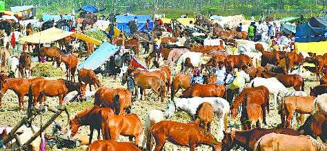 Chaubari fair punishment, The main bath today