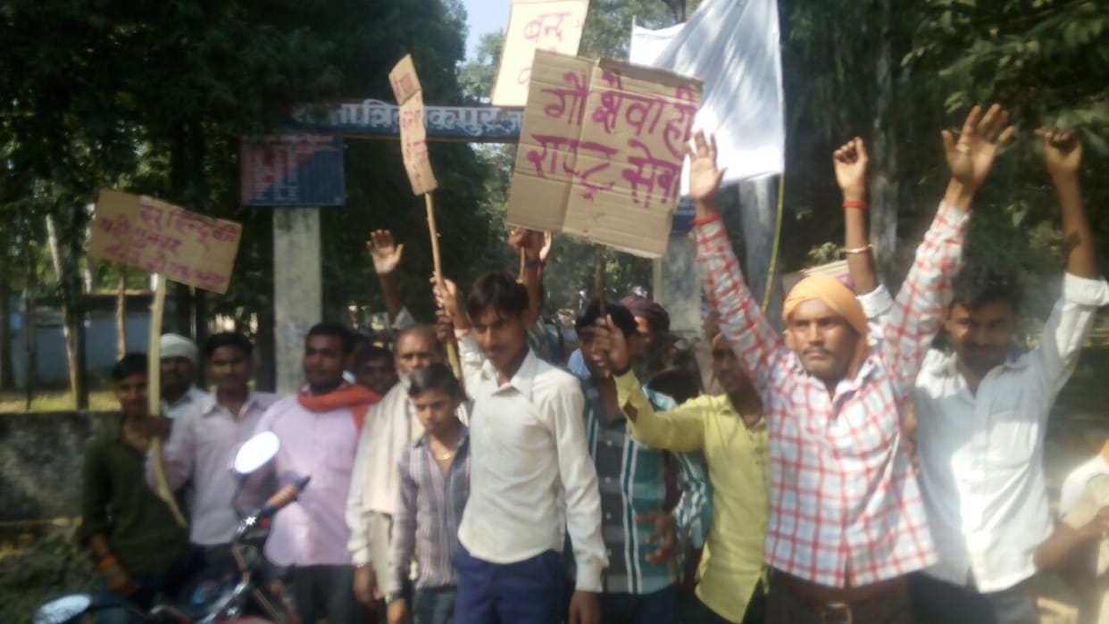 Two arrested in killing of cattle, beef recovered