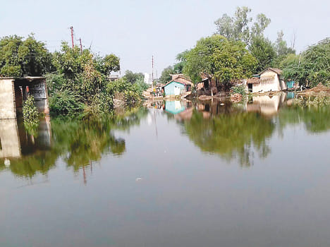  canal water entered the Dalit colony