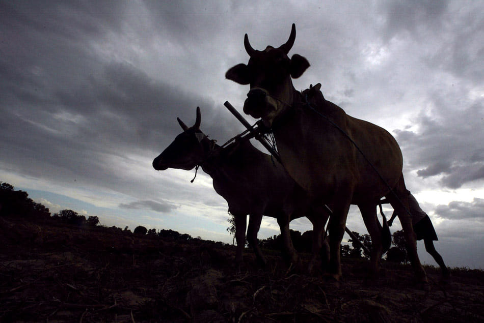 note ban effect on agriculture 