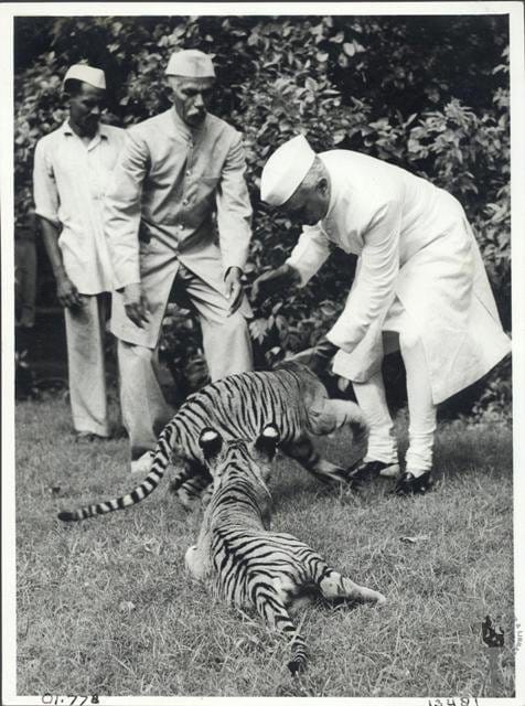 similarity between Jawahar lal nehru and Narendra modi 