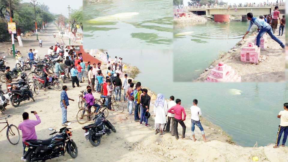 big packets find in river