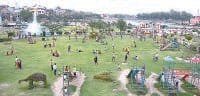 illigal colony, ligal, 100 clolny, kaithal