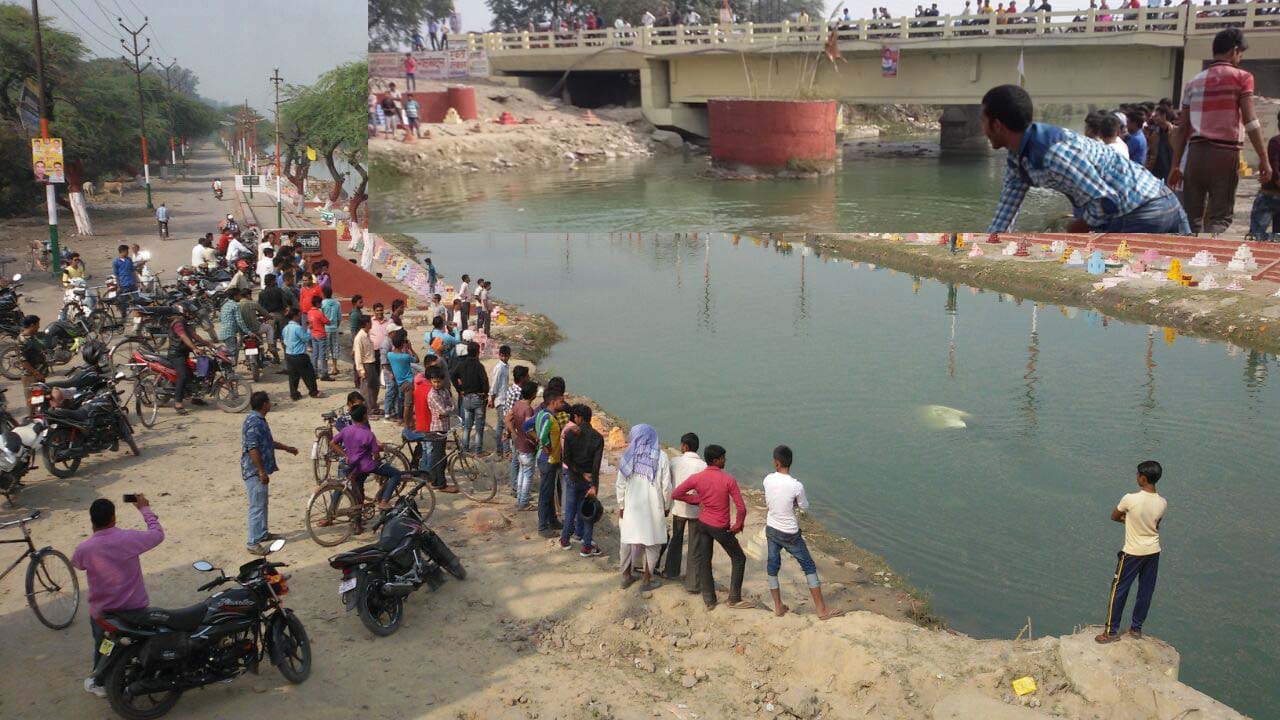 big packets find in river