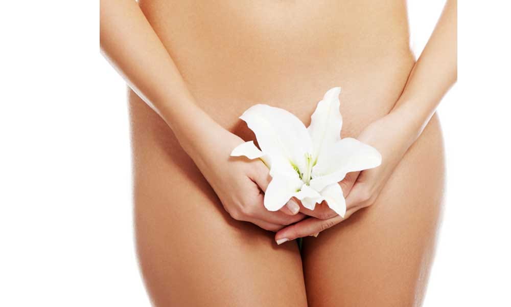 Facts About Private Part Of Women