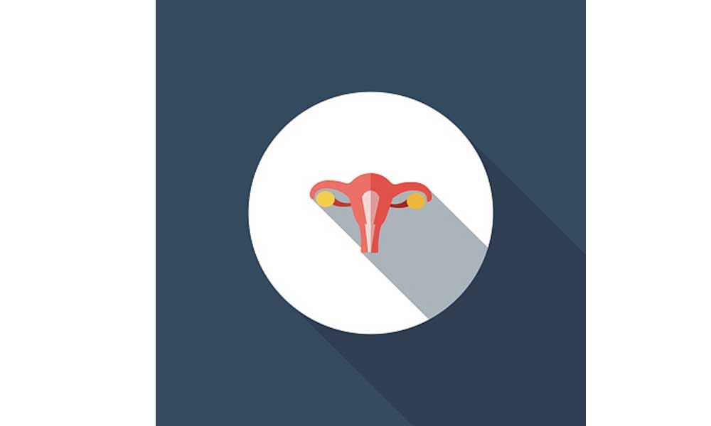 Facts About Private Part Of Women