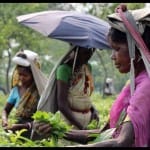 Kolkata: currency ban led to starvation for the tea plantation workers