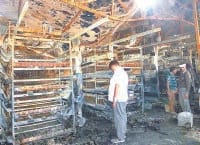 jind, harayana, fire, in haitheri, loss,   jind,  harayana
