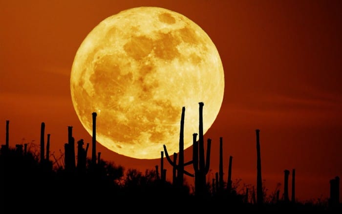  must watch supermoon after 68 years