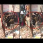 police beaten woman
