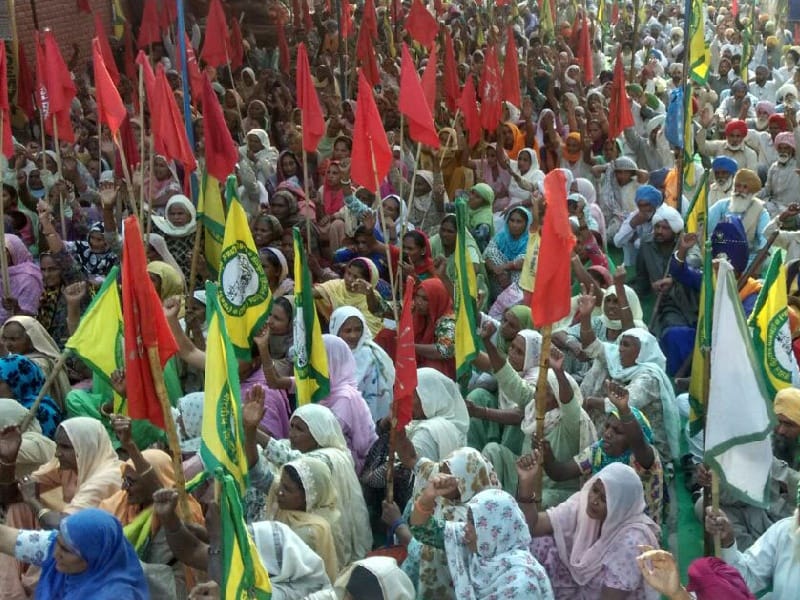 Released on dharna at DC office, panchayat land disputes, death, justice demands, Sangrur