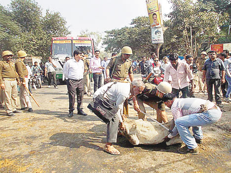 The police baton charge on the farmers with cattle
