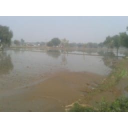 10, acer, grain, agriculture, dam, falt