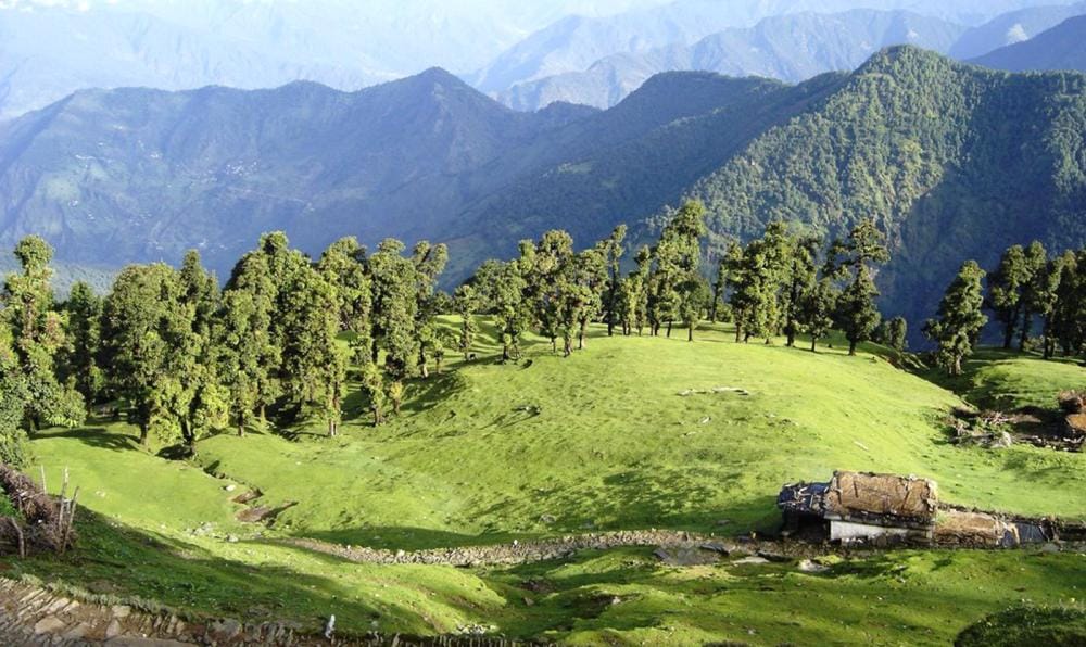  chopta hill station as like as switzerland