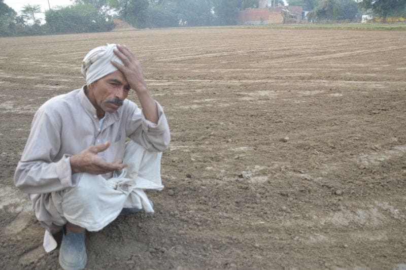 effect of note changing at agriculture
