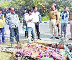  Truck crash carts, siblings killed, 13 injured