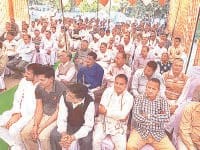 yamuna nagar, kanwar, pal, portal, agriculture, market, national