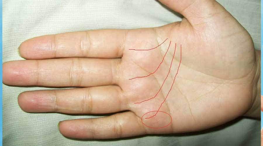 palmistry santan rekha you should know