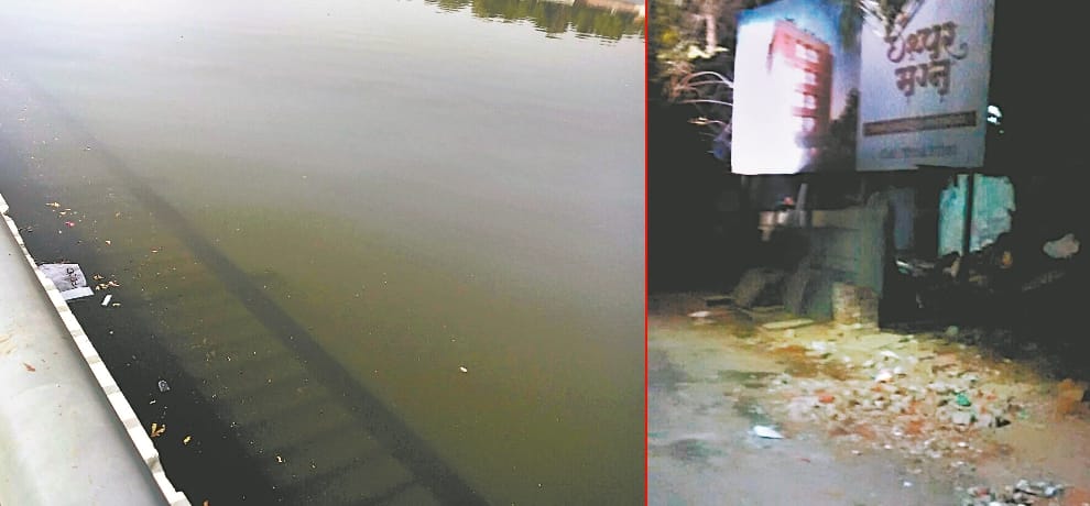 Ahemdabad's crows are more black than chandigarh, know how