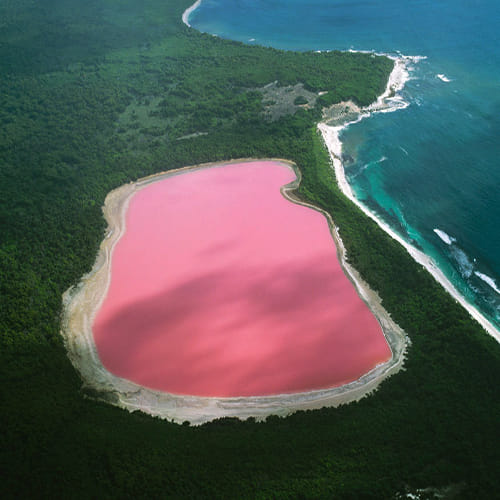 The bizarre PINK lake in Australia