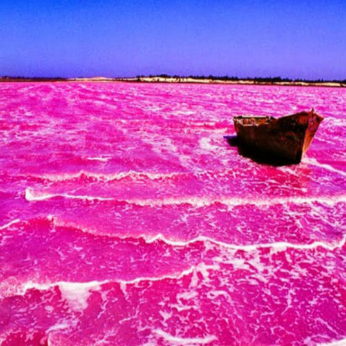 The bizarre PINK lake in Australia