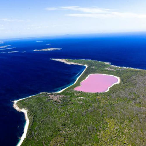 The bizarre PINK lake in Australia