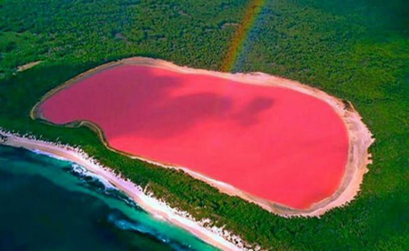 The bizarre PINK lake in Australia