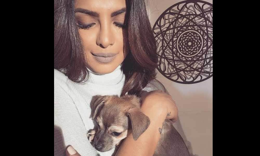 Bold Lipstick Of Priyanka Chopra