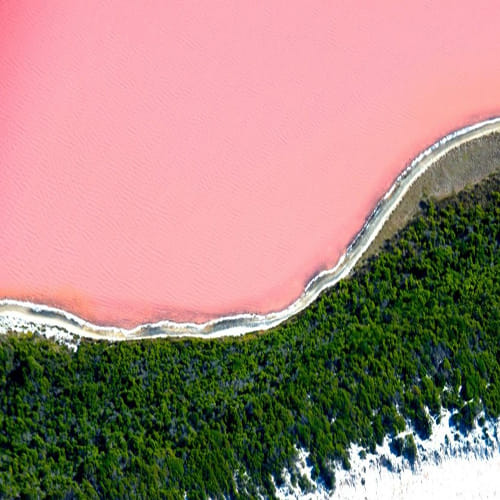 The bizarre PINK lake in Australia