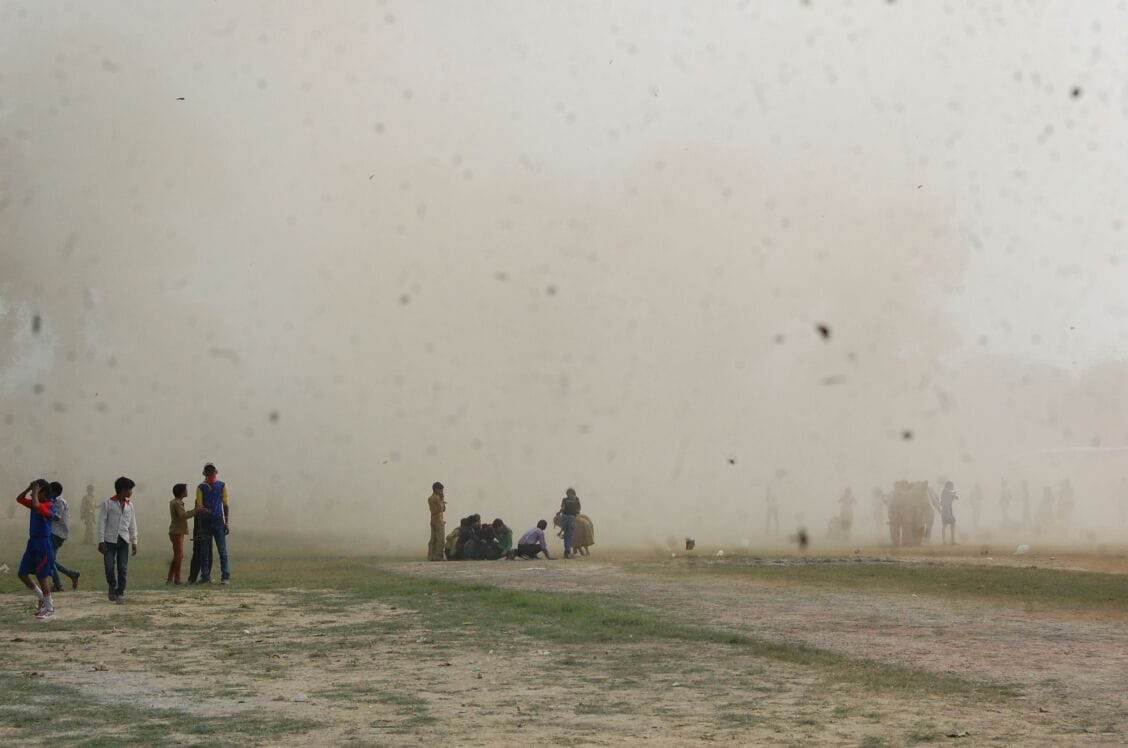 typhoon between sports competetion
