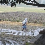 farmers are not getting seeds and fertilizers from old notes in greater noida 
