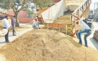 63 kwintal rich purches, jind