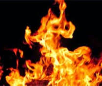 Cardboard Factory fire, the loss of millions