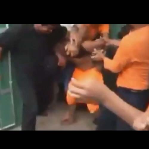 mob hanged rapist in reyes  Bolivia