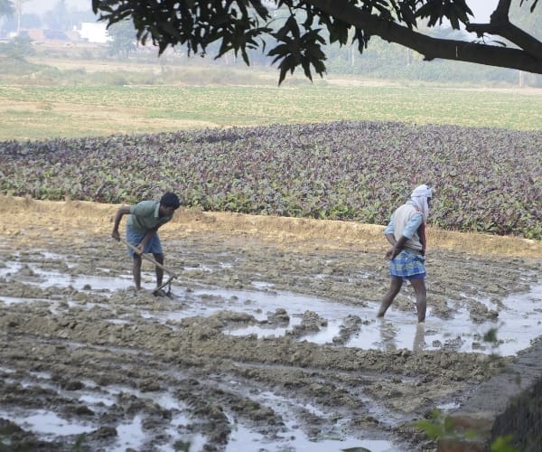  farmers speak on currency discontinue.