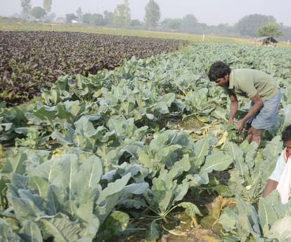 farmers speak on currency discontinue.