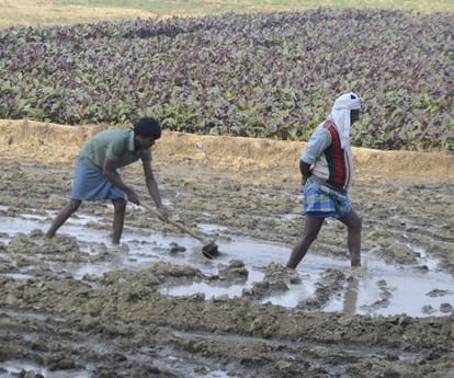 officers could not distribute money to farmers.
