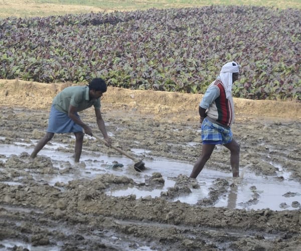 four farmers get 87 lakh rupees each in mujjaffarnagar 