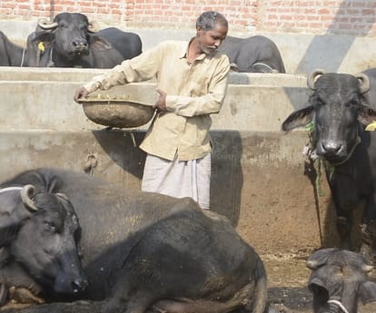  farmers speak on currency discontinue.
