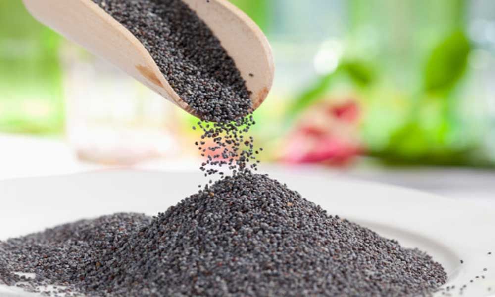 Benefits Of Poppy Seed Amar Ujala Hindi News Live अगर आपको नींद