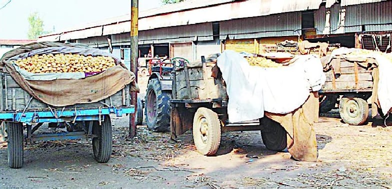 The impact on workers and Plledaron Notbandi