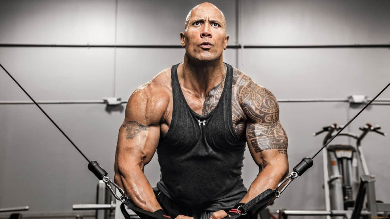Five Greatest Superstars Of WWE All Time You Must Know about Him